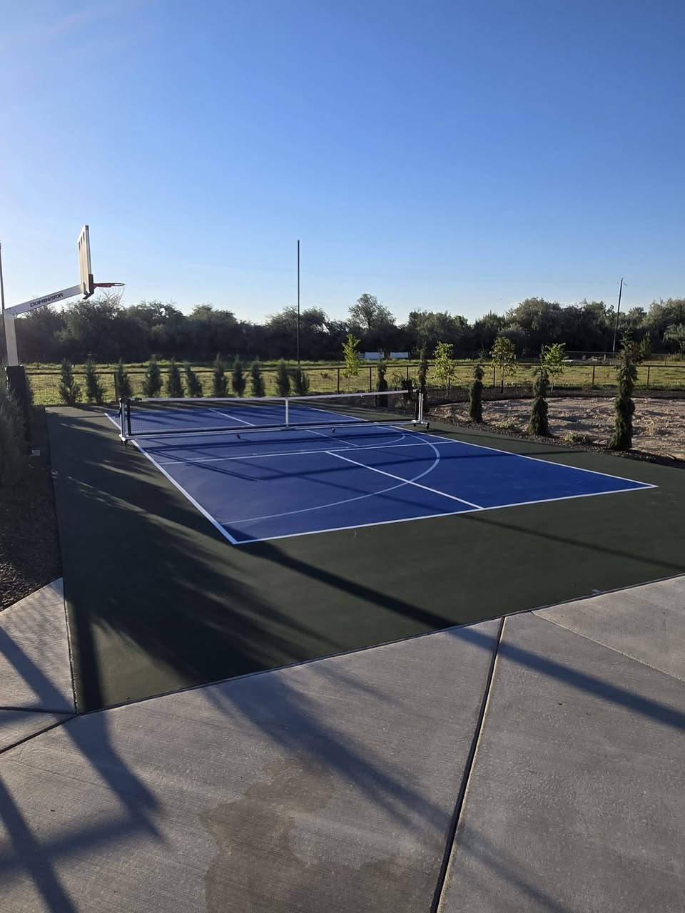 Finished backyard pickleball court in blue and green with basketball hoop and fresh landscaping